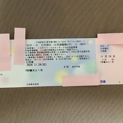 FIA世界ラリー選手権(WRC) ラリージャパン2024 SS18/SS21 三河湖SS 11月24