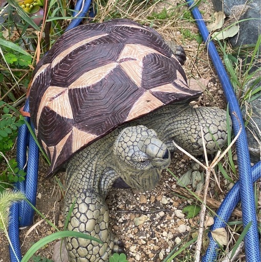 かなり大きい亀の置物