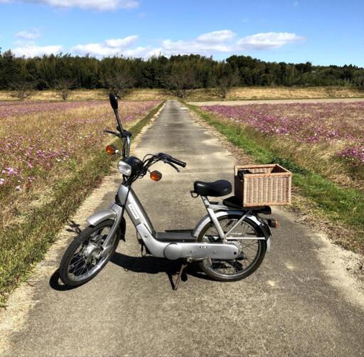 商談中　ピアジオ・チャオ　50cc2st 実働、始動確認済み ピアジオ・チャオ 50cc2st 実働、始動確認済み Piaggio Ciao moped