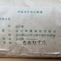 （受付終了）令和6年産　新米　きぬむすめ　30kg【3袋限定】