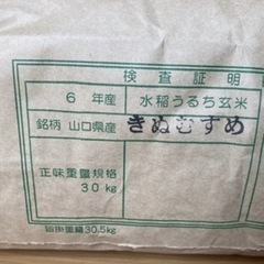 （受付終了）令和6年産　新米　きぬむすめ　30kg【3袋限定】