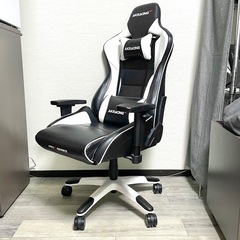 美品】AKRacing Pro-X V2 White ゲーミングチェア