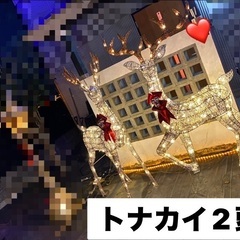 ※クリスマス【イルミネーション】※残り1体