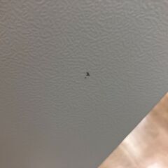 🧊美品🧊117L冷蔵庫🧊REFAGE🧊YRZ-C12L🧊2024年製🧊中古🧊No.3749🧊※現金、クレジット、スマホ決済対応🧊