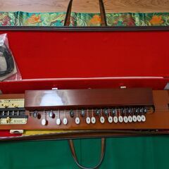 琵琶 びわ リュート ビバ ピーパー ティパ 高級琵琶(新品） (momo  