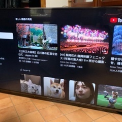 ① パナソニック Panasonic ビエラ 4K 60インチ 60型 TH-60CX800N 2015年製 検 55インチ 55型