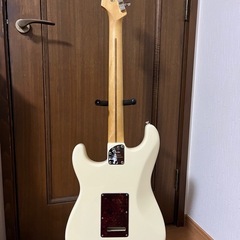fender 
American Professional II stratocaster