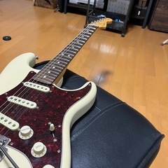 fender 
American Professional II stratocaster