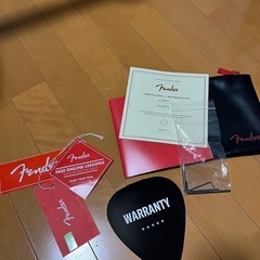 fender 
American Professional II stratocaster