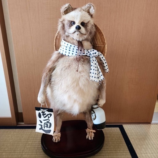 本物のたぬきの剥製 つまらなく
