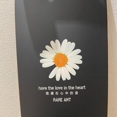 カーバーサーフスケート