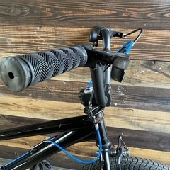 BMX 20インチ自転車 ブラックエディション スケーター