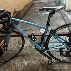 ロードバイクルイガノ