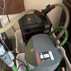 sv900+2217eheim セット
