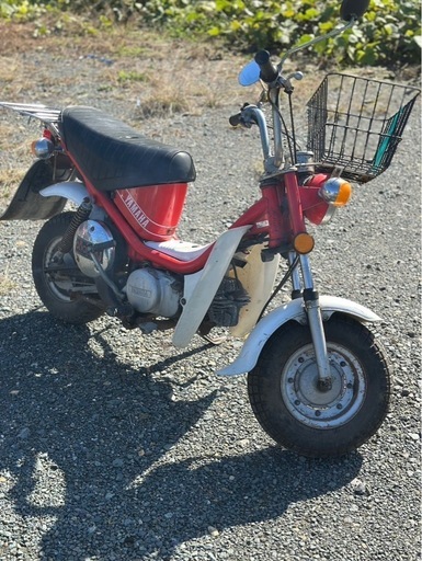 チャッピー50絶好調
