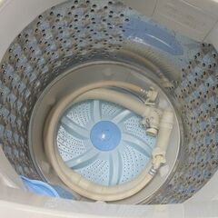 洗濯機 7.0kg 2019年製 東芝 AW-7G8 TOSHIBA ホワイト 7kg 札幌市 白石店