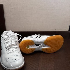 ヨネックス海外限定シューズ　65Z3 27cm