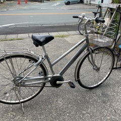 アルベルト  売り切れ