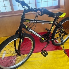 クロスバイク24インチ