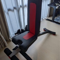 ベンチプレス　Bowflex ボウフレックス セレクトテック 5.1Sストワブルベンチ
