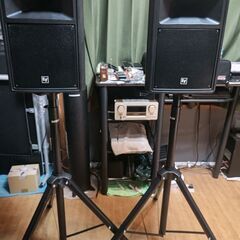 エレクトロボイス SH1502ER ライブや映画鑑賞に最適な大型スピーカー 2