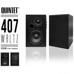 【極美品】QUINTET 407 WALTZ アクティブスピーカー 2本セット★全てのケーブル付き★