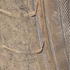 タイヤホイールセット　4本　トヨタ純正　18インチ　225/45/18 クラウン　マークX