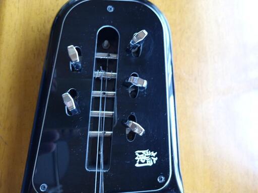 大正琴 鈴木 蘭 動作品 大正琴 鈴木 蘭 ソプラノ レッド 赤 ハード