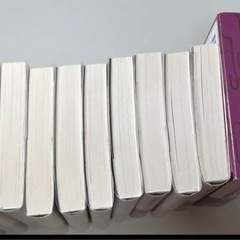 小説 薬屋のひとりごと 1~14巻 12巻特装版