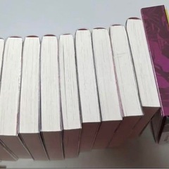 小説 薬屋のひとりごと 1~14巻 12巻特装版