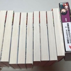 小説 薬屋のひとりごと 1~14巻 12巻特装版