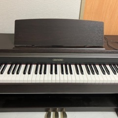 弦楽器ビルダー製作テナーウクレレ☆ピックアップ装備☆ハード  