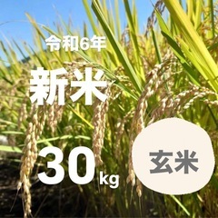 令和6年新米  広島県産    農薬不使用ヒノヒカリ  玄米30kg