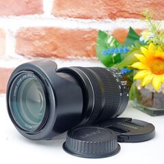 【全国送料無料】Canon EF-S 18-135mm IS STM ✨届いたらすぐに使えます✨ 手振れ補正付