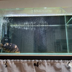 90センチ水槽、水槽台、専用ライトセット！