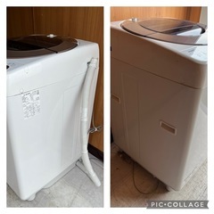 シャープ 全自動洗濯機 10.0kg ES-GV10E-T 