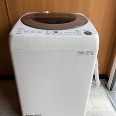 シャープ 全自動洗濯機 10.0kg ES-GV10E-T 