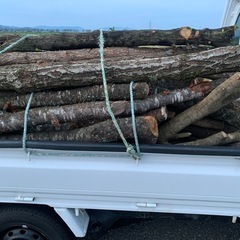 薪 薪ストーブなどに 広葉樹 未乾燥 軽トラック1台分