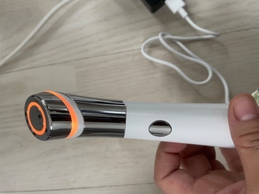 本日終了！サキナ 美顔器 フヨウ サキナ 美顔器 サロン使用 ホーム