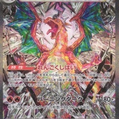 ポケモンカード黒炎の支配者リザードンex SAR