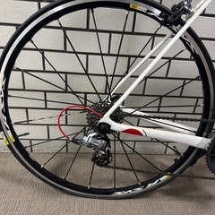 2016 FENIX SL FORCE22 R-SYS