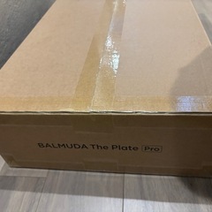 バルミューダホットプレート新品✨