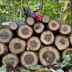 薪　広葉樹MIX ナラ多め 軽トラ一台 