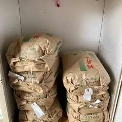 令和6年産 新米コシヒカリ 玄米 30kg  恐竜の町勝山産　　　　