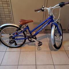 LOUIS GARNEAU 「ルイガノ」 LGS-J22  22インチ キッズ 自転車