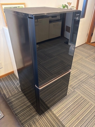 2020年製スクワイヤーコンテンポラリーエキゾチックテレキャスター