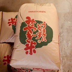 令和6年 登米産 新米 玄米30キロ1袋(20キロ1袋・