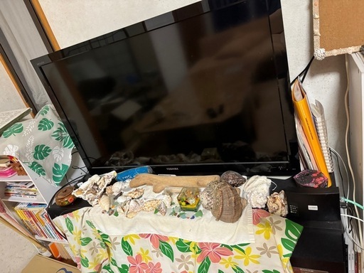40インチテレビ IRIE テレビ ホワイト 40インチ 40型 外付けHDD3TB