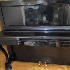 シュベスターの中古が安い！激安で譲ります・無料であげます｜ジモティー 