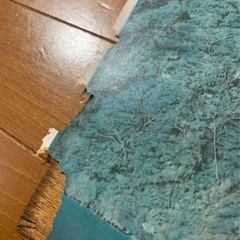 姫路城 レトロ 写真？遺品整理